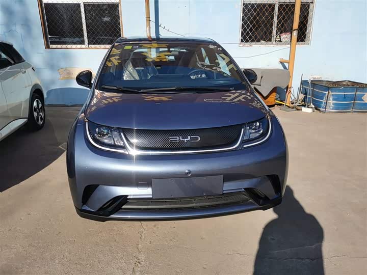 2025 BYD Dolphin