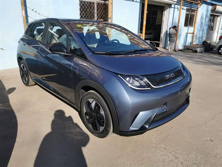 2025 BYD Dolphin