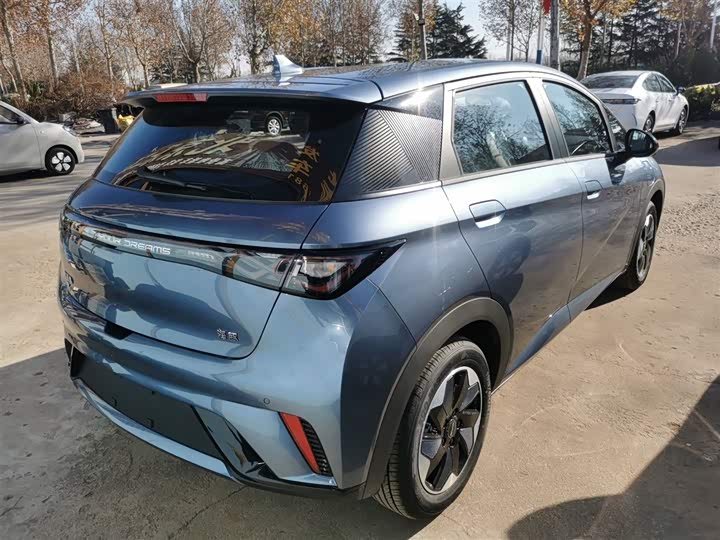 BYD Dolphin 2025 2025款 420km 自由版