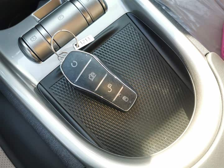 BYD Dolphin 2025 2025款 420km 自由版