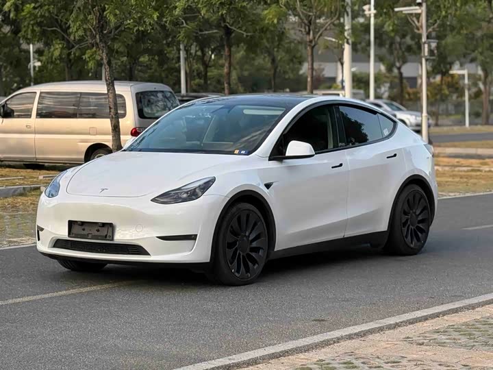 Tesla Model Y 2024 2024款 Performance高性能版