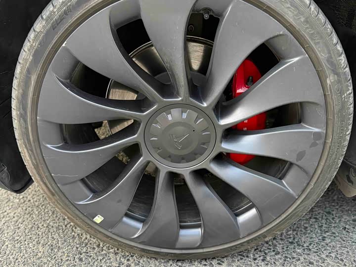 Tesla Model Y 2024 2024款 Performance高性能版