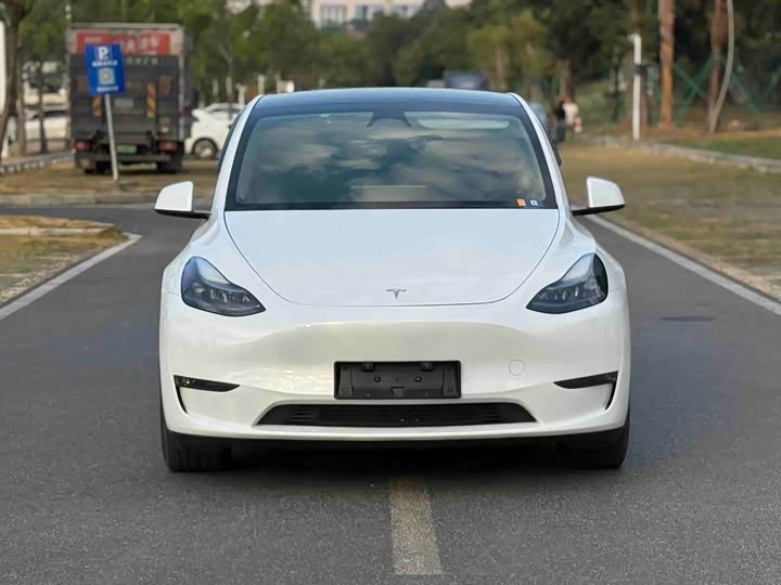 Tesla Model Y 2024 2024款 Performance高性能版