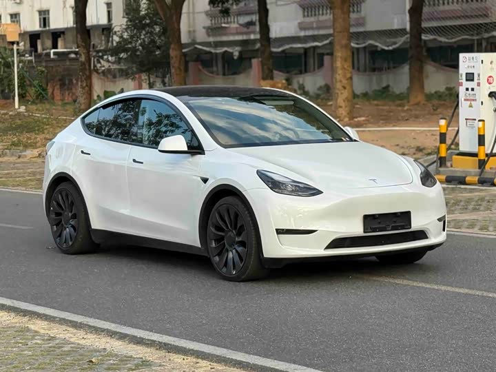 Tesla Model Y 2024 2024款 Performance高性能版