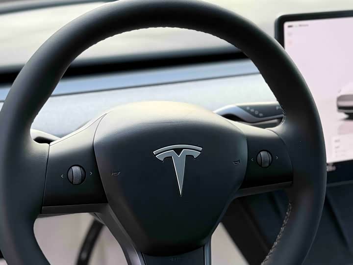Tesla Model Y 2024 2024款 Performance高性能版