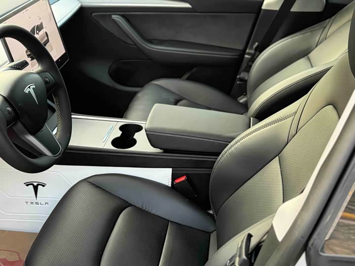 Tesla Model Y 2024 2024款 Performance高性能版