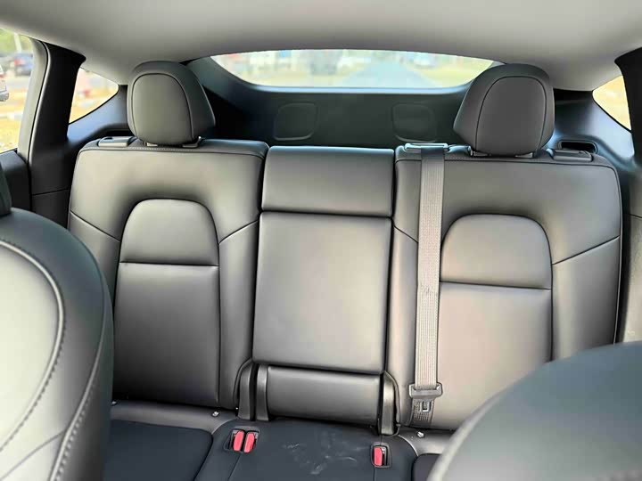 Tesla Model Y 2024 2024款 Performance高性能版