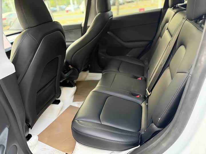 Tesla Model Y 2024 2024款 Performance高性能版