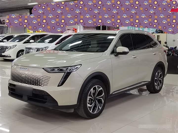 Haval Ruge Max 2023 2023款 1.5L Hi4 105 四驱智能旗舰版