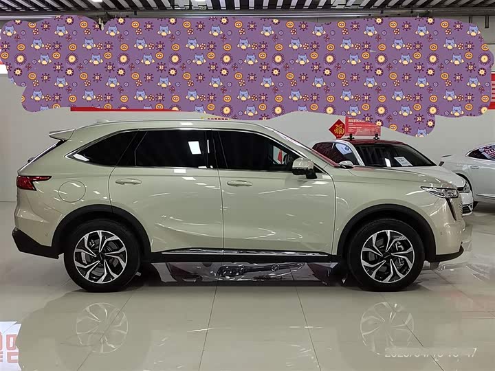 Haval Ruge Max 2023 2023款 1.5L Hi4 105 四驱智能旗舰版