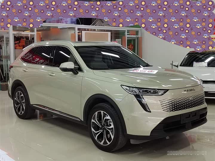 Haval Ruge Max 2023 2023款 1.5L Hi4 105 四驱智能旗舰版