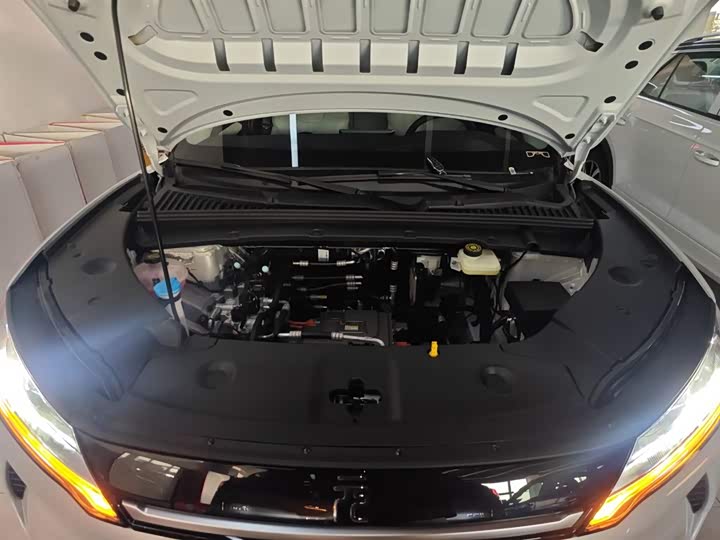 BYD Yuan Up 2025 2025款 301KM 领航型