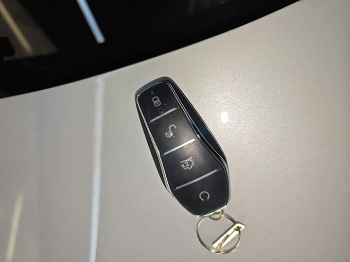 BYD Yuan Up 2025 2025款 301KM 领航型