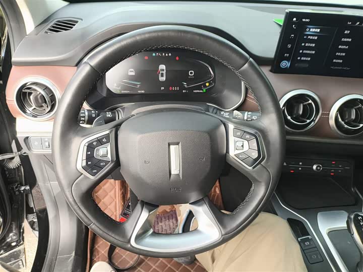 Wey VV6 2021 2021款 2.0T 两驱智护+