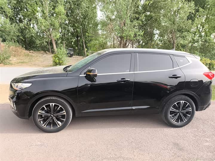 Wey VV6 2021 2021款 2.0T 两驱智护+