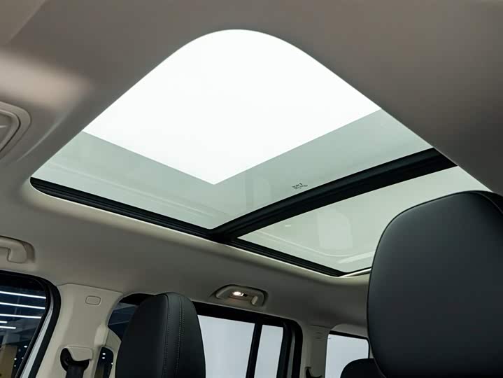 Haval Raptor Hybrid 2024 2024款 Hi4 102 Pro