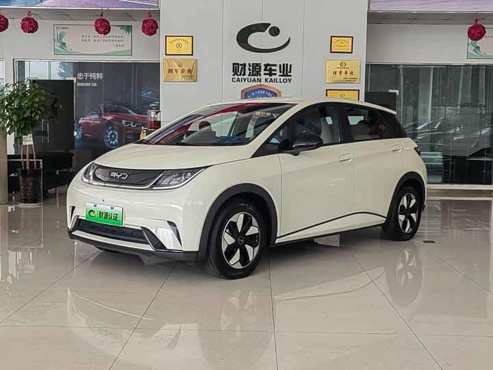 BYD Dolphin 2025 2025款 420km 自由版