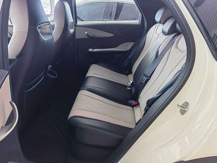 BYD Dolphin 2025 2025款 420km 自由版