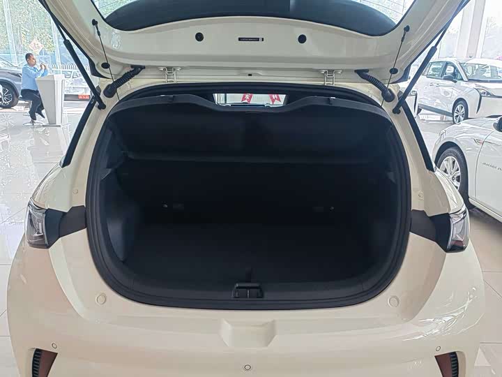 BYD Dolphin 2025 2025款 420km 自由版