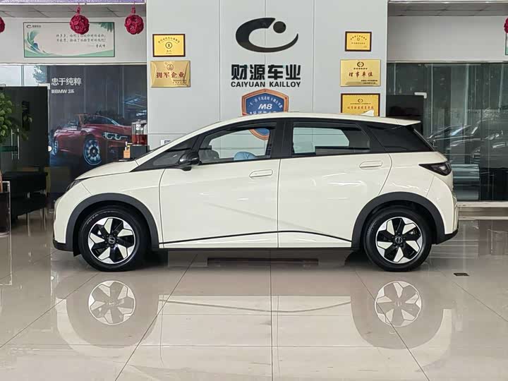 BYD Dolphin 2025 2025款 420km 自由版