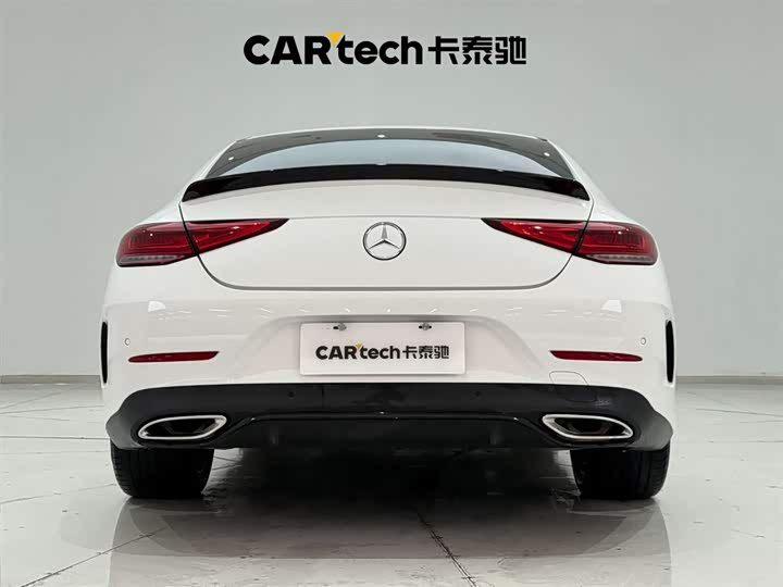 Mercedes-Benz CLS-Class 2023 2023款 CLS 300 动感型