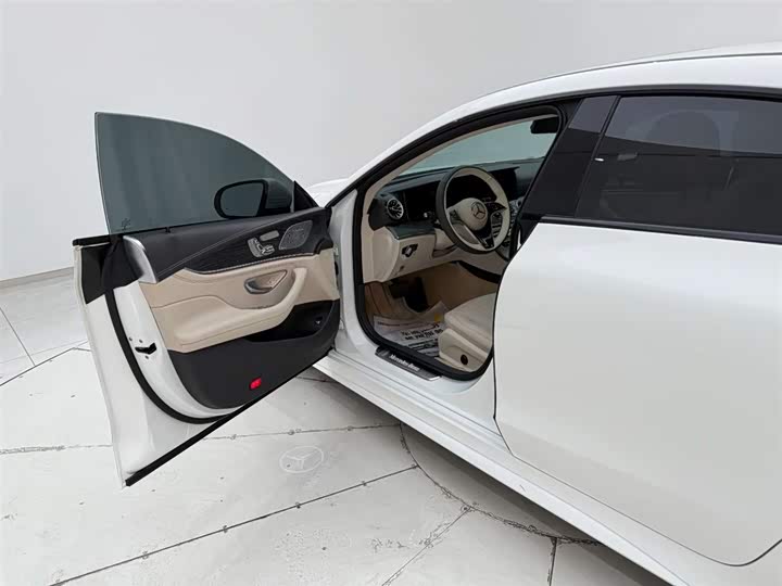 Mercedes-Benz CLS-Class 2023 2023款 CLS 300 动感型