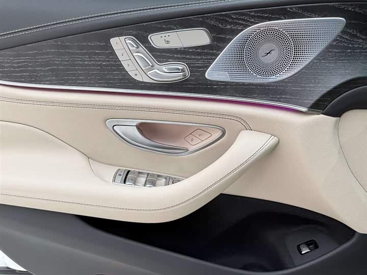 Mercedes-Benz CLS-Class 2023 2023款 CLS 300 动感型