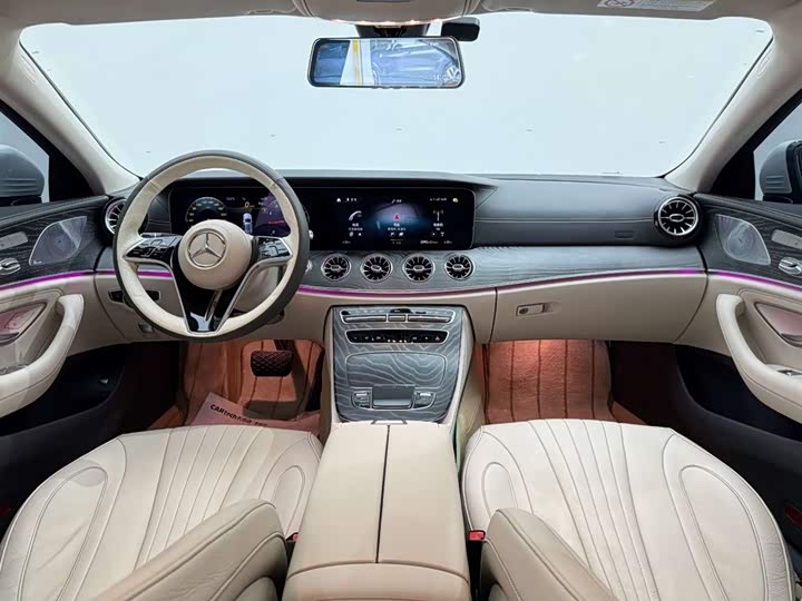 Mercedes-Benz CLS-Class 2023 2023款 CLS 300 动感型