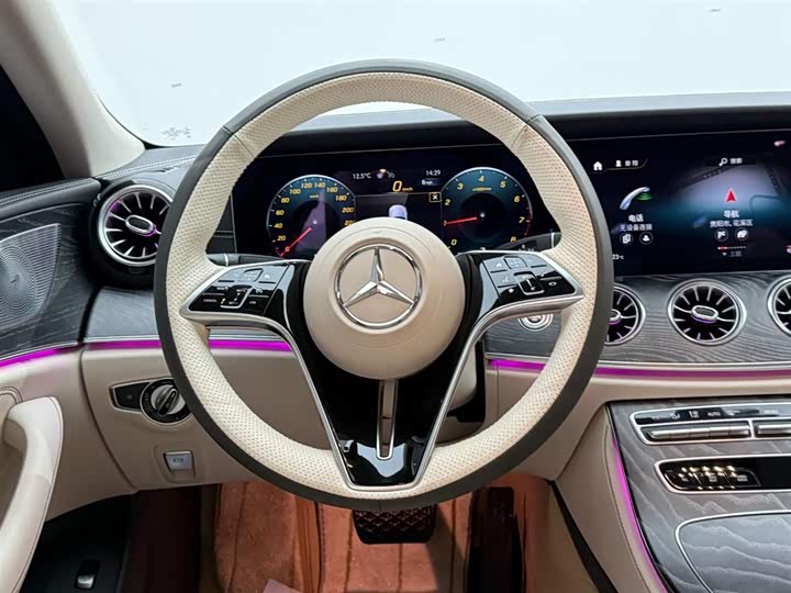 Mercedes-Benz CLS-Class 2023 2023款 CLS 300 动感型