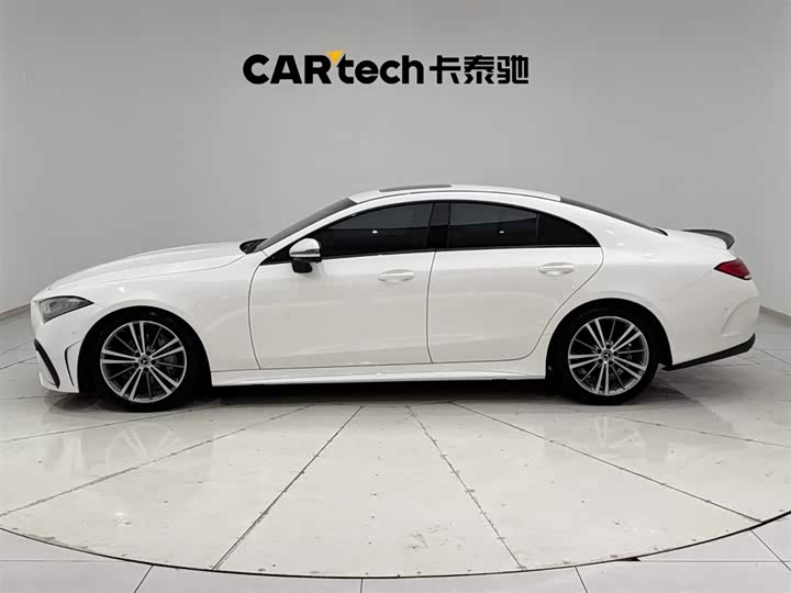 Mercedes-Benz CLS-Class 2023 2023款 CLS 300 动感型
