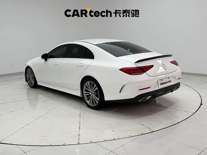 Mercedes-Benz CLS-Class 2023 2023款 CLS 300 动感型