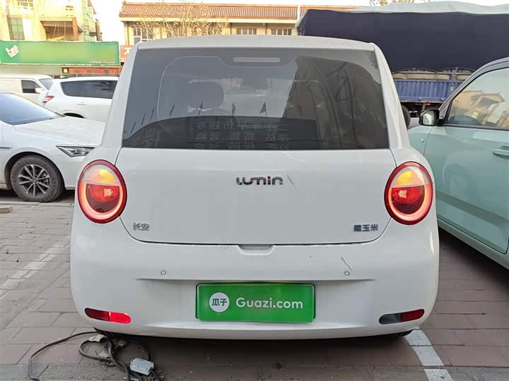 Changan Qiyuan (Nevo) Lumin 2025 2025款 210km 清香款