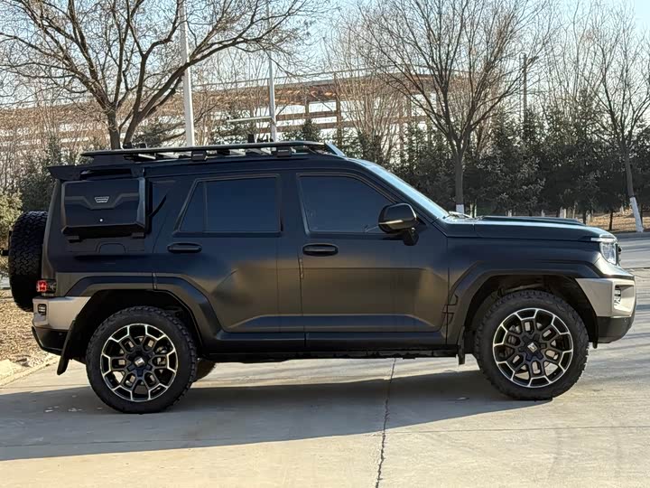 Tank 700 Hybrid 2024 2024款 Hi4-T 极境版