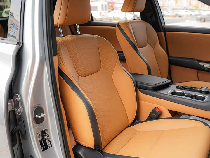 Lexus RZ 2023 2023款 450e 四驱纵享版