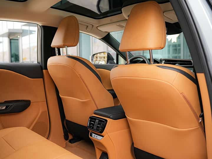 Lexus RZ 2023 2023款 450e 四驱纵享版