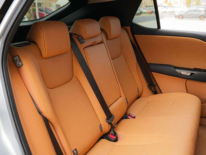 Lexus RZ 2023 2023款 450e 四驱纵享版