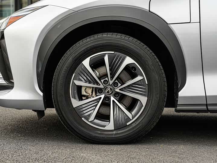 Lexus RZ 2023 2023款 450e 四驱纵享版