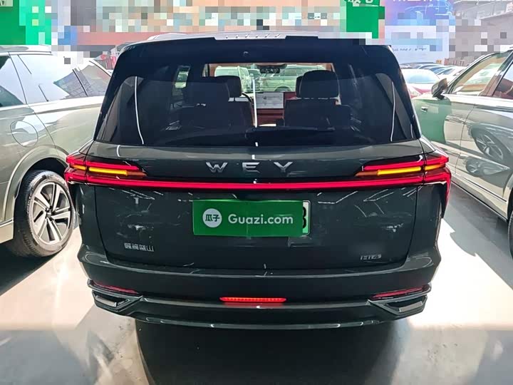 Wey Lanshan 2025 2025款 四驱智驾 Ultra