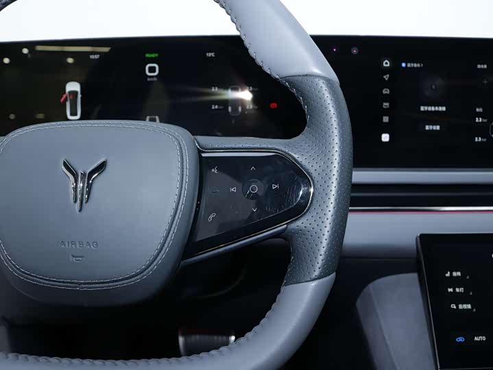 Voyah Passion 2024 2024款 PHEV 四驱超长续航行政版