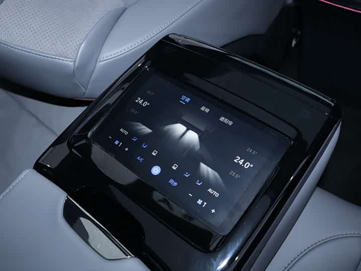 Voyah Passion 2024 2024款 PHEV 四驱超长续航行政版