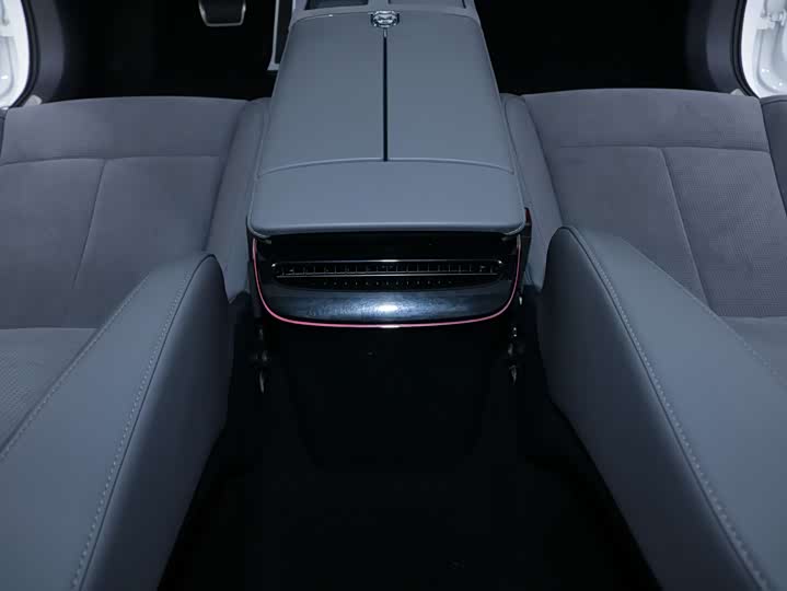 Voyah Passion 2024 2024款 PHEV 四驱超长续航行政版