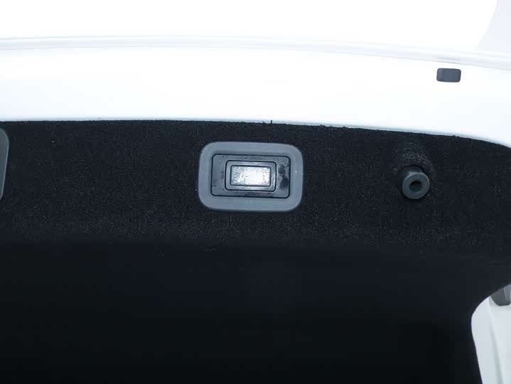 Voyah Passion 2024 2024款 PHEV 四驱超长续航行政版