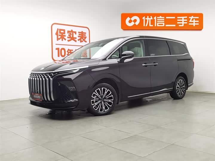 Dongfeng Forthing Xinghai V9 2024 2024款 1.5TD 200km 中国结系列 尊享型