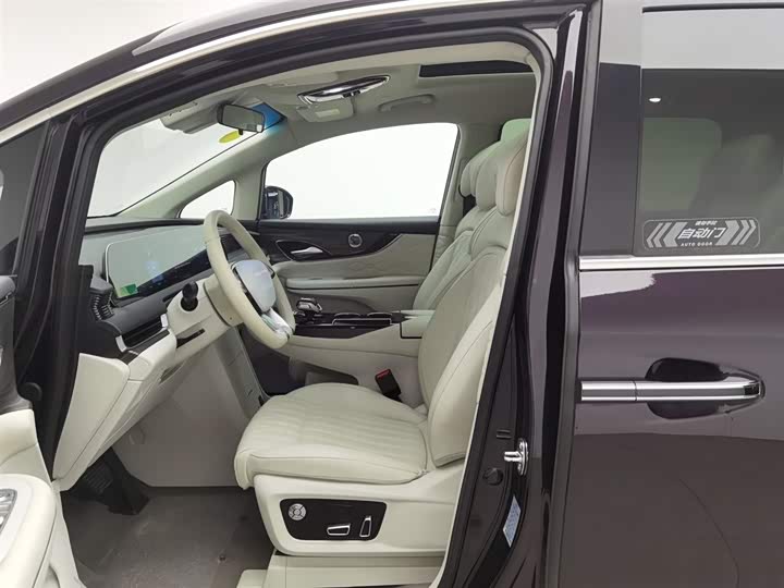 Dongfeng Forthing Xinghai V9 2024 2024款 1.5TD 200km 中国结系列 尊享型