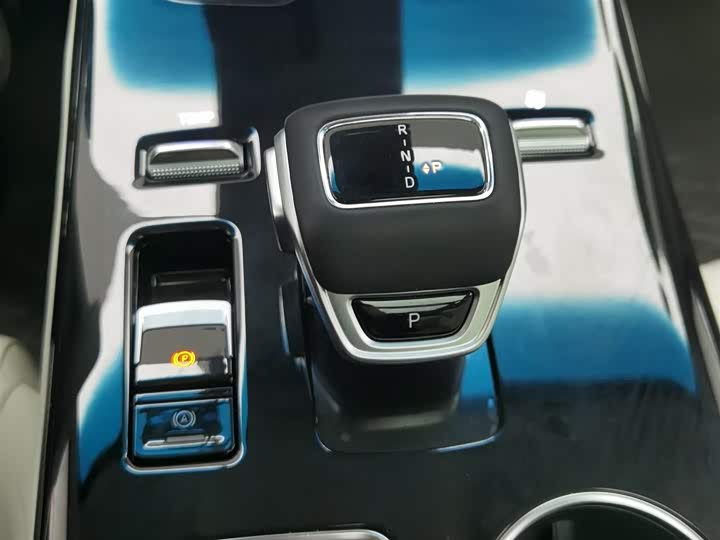 Dongfeng Forthing Xinghai V9 2024 2024款 1.5TD 200km 中国结系列 尊享型