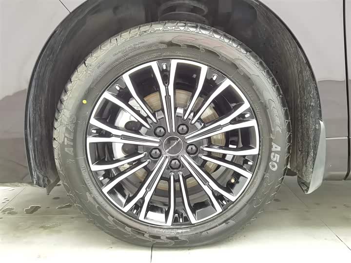 Dongfeng Forthing Xinghai V9 2024 2024款 1.5TD 200km 中国结系列 尊享型