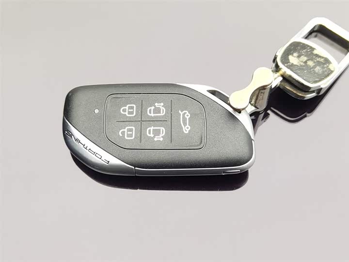 Dongfeng Forthing Xinghai V9 2024 2024款 1.5TD 200km 中国结系列 尊享型