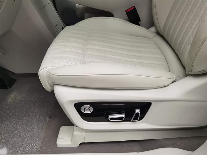 Dongfeng Forthing Xinghai V9 2024 2024款 1.5TD 200km 中国结系列 尊享型