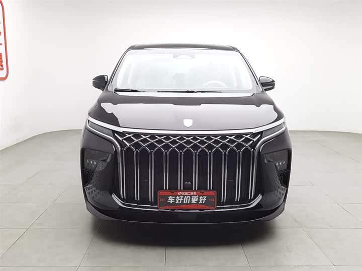 Dongfeng Forthing Xinghai V9 2024 2024款 1.5TD 200km 中国结系列 尊享型