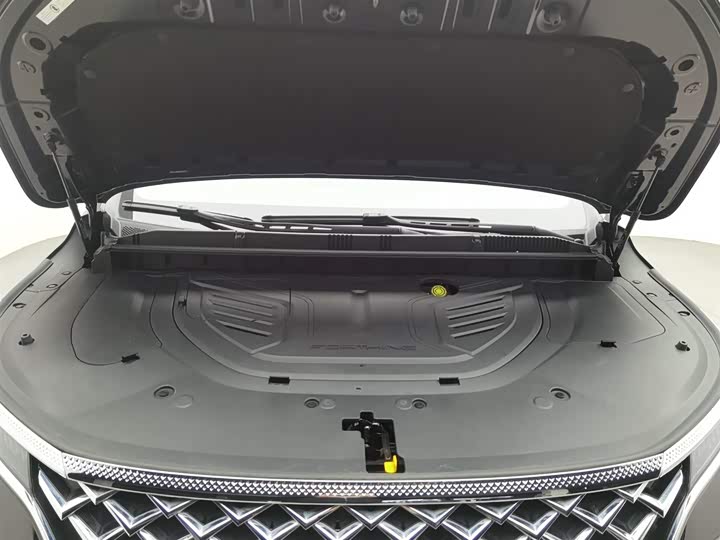 Dongfeng Forthing Xinghai V9 2024 2024款 1.5TD 200km 中国结系列 尊享型